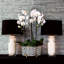 Song Table Lamp