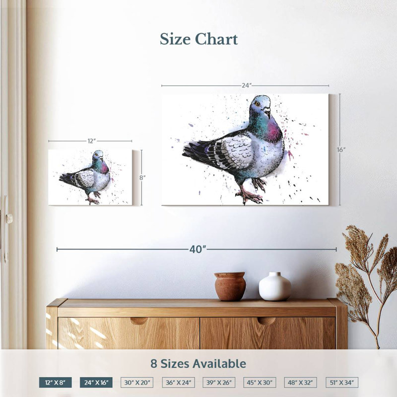 Pigeon, H 16 po x l 24 po
