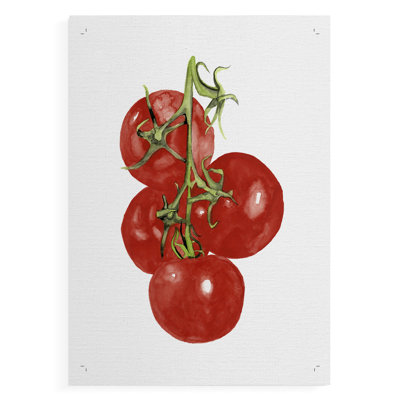 Watercolor Veggie IV - Reproduction de toile seulement - NON-CADRE