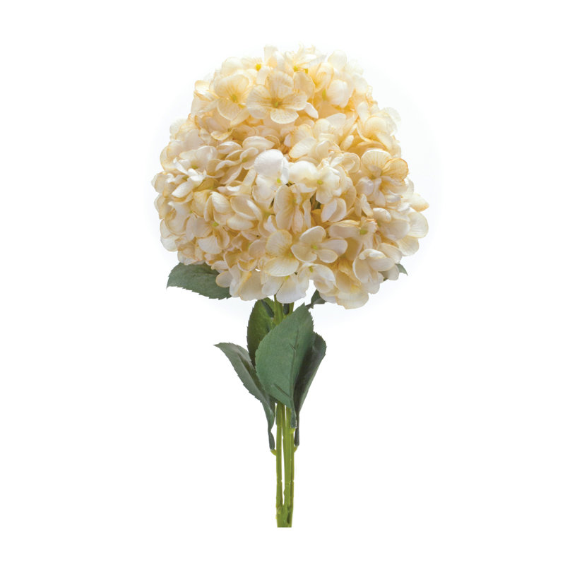 Hydrangea Arrangement