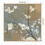 «Ode To Spring Blossoms I» par Asia Jensen, reproduction d'art sur toile encadrée-1987818930