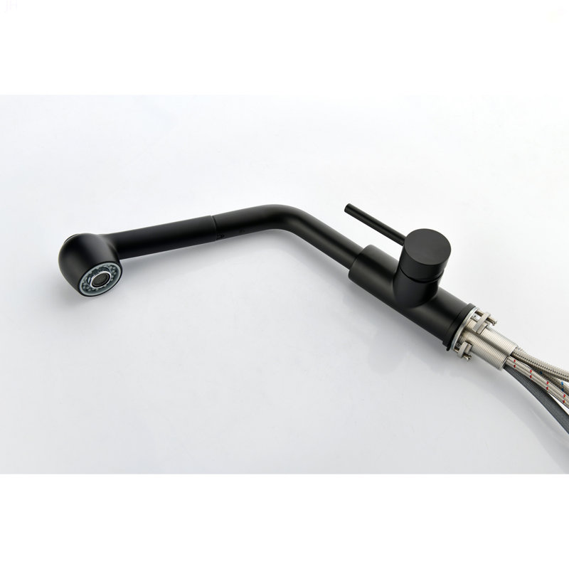 Single Handle Kitchen Sink Faucet With Pull Out Sprayer, Matte Black