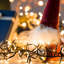 Andros 200cm Battery Powered String Lights String Light