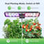Système de culture pour 12 plantes avec 12 plantes et 36 ampoules DEL