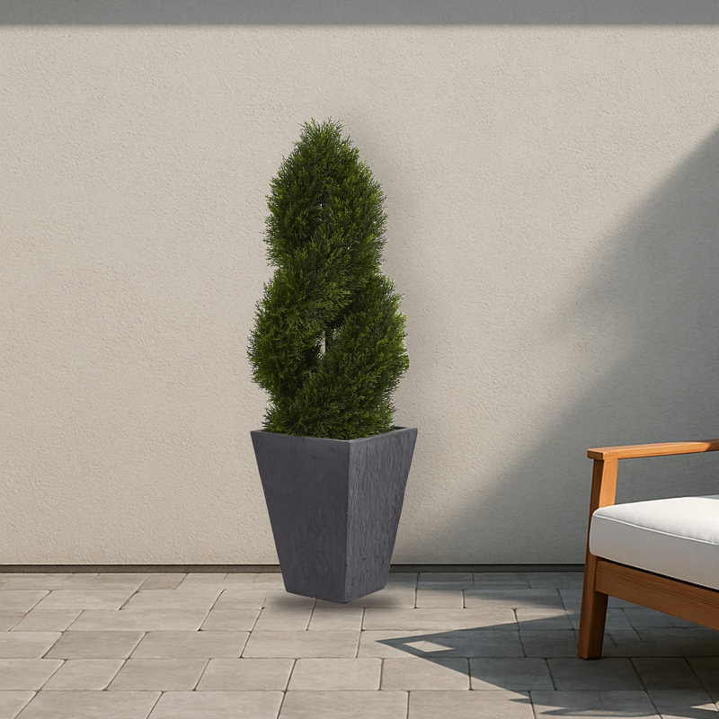 Cypress Tree in Slate Planter UV Resistant