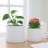 Geometric Design Ceramic Planters with Saucer for Indoor, Outdoor and Patio Use - Modern Home Accent Flower Pots for Living Room Decor - Set of 2, White-184779040-184978427