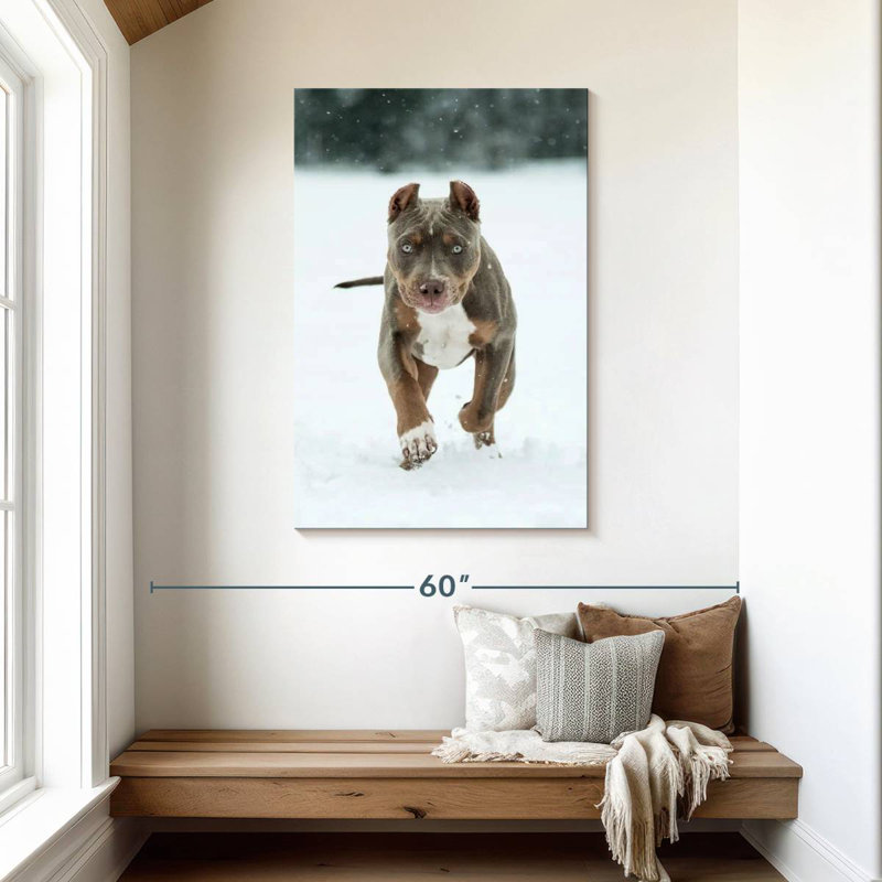 Brampt Pit Bull On Snow, 45" H x 30" W