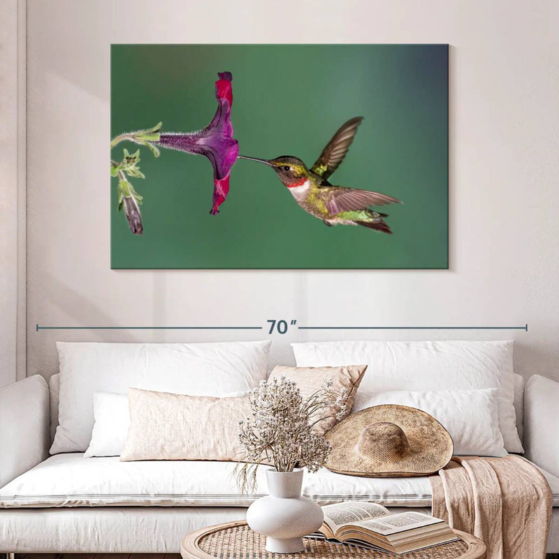 Nectar Brampt suçant un colibri, H 32 po x l 48 po