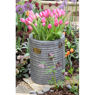 Becker Metal Pot Planter