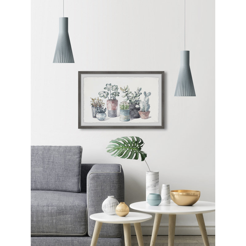 Succulent In Display Planters by Parvez Taj - Single Picture Frame Painting, 20cmH x 30cmW