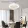 19.69'' Ceiling Fan with LED Lights