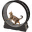 Tapis roulant d'intérieur pour animal de compagnie-111312892-106908687
