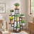 Zoya Plant Stand 7 Tier-912992363-899923439