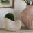 Sand And Cement Nautilus Shell Planter-1353923272
