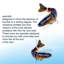 Leurre bionic Multi Fish 12,8cm-132563984
