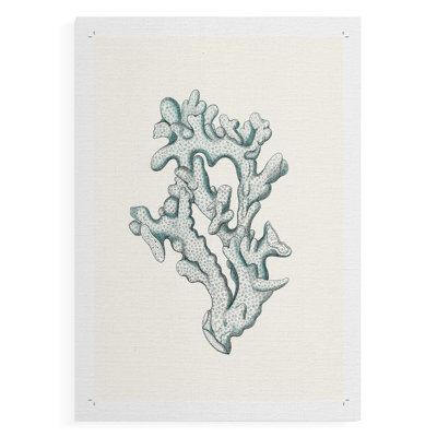 Antique Coastal Coral IV -Canvas Print Only - NOT FRAMED