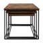 Deborah Frame Coffee Table