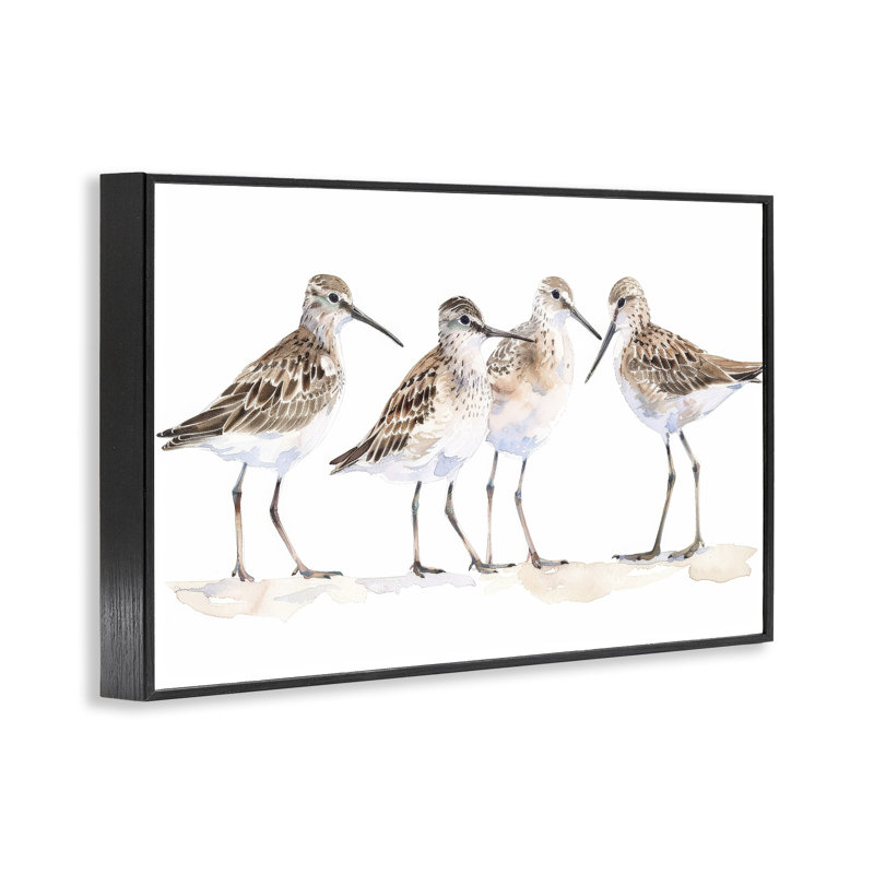  «Sand Pipers Gathered Giclee» par Petal Prints Design, Giclée encadrée noir minuit, H 16 po x l 24 po