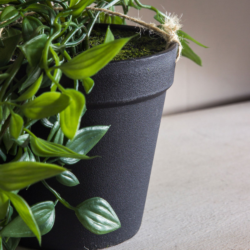 Faux Devil's Ivy (Scindapsus Aureus) Plant in Pot, 48cm H x 18cm W x 18cm D
