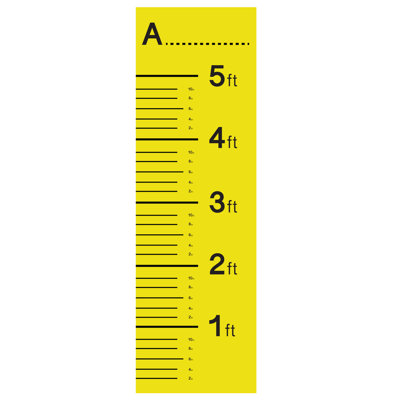 Growth Chart