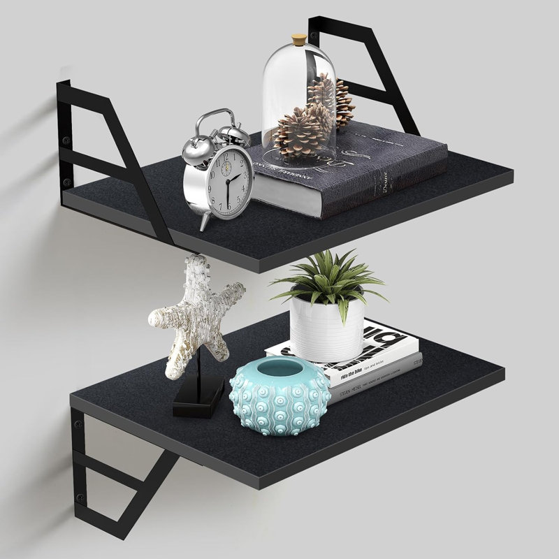 Thyron 2 Piece Floating Shelf, Black