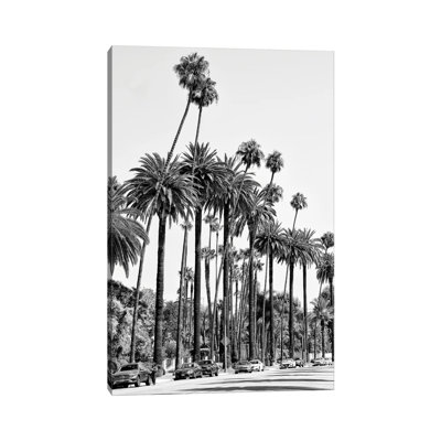 Black California Series - L.A's Palm Trees - Wrapped Canvas Print