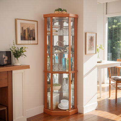 Lighted Corner Glass Cabinet by Winston Porter