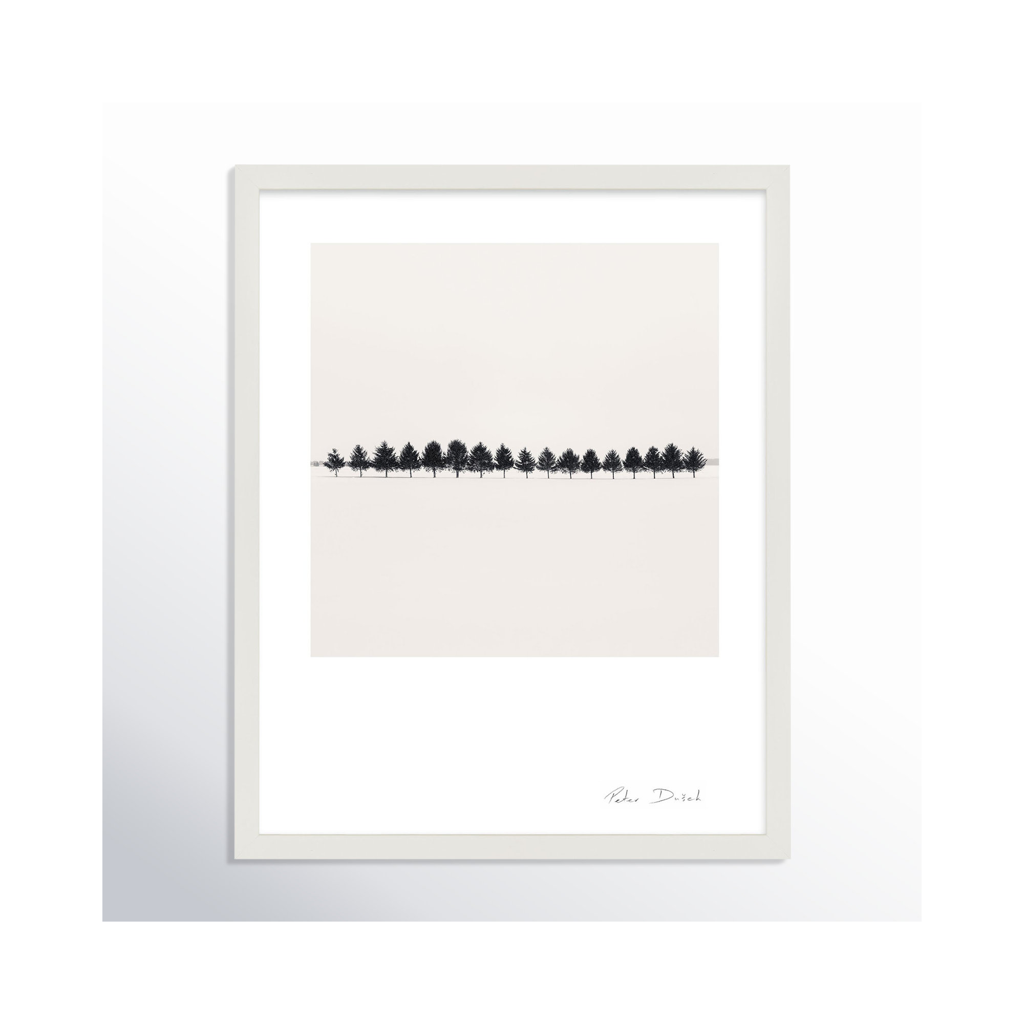 Seventeen Trees by Peter Dušek, White, 20" H x 16" W x 1.25" D