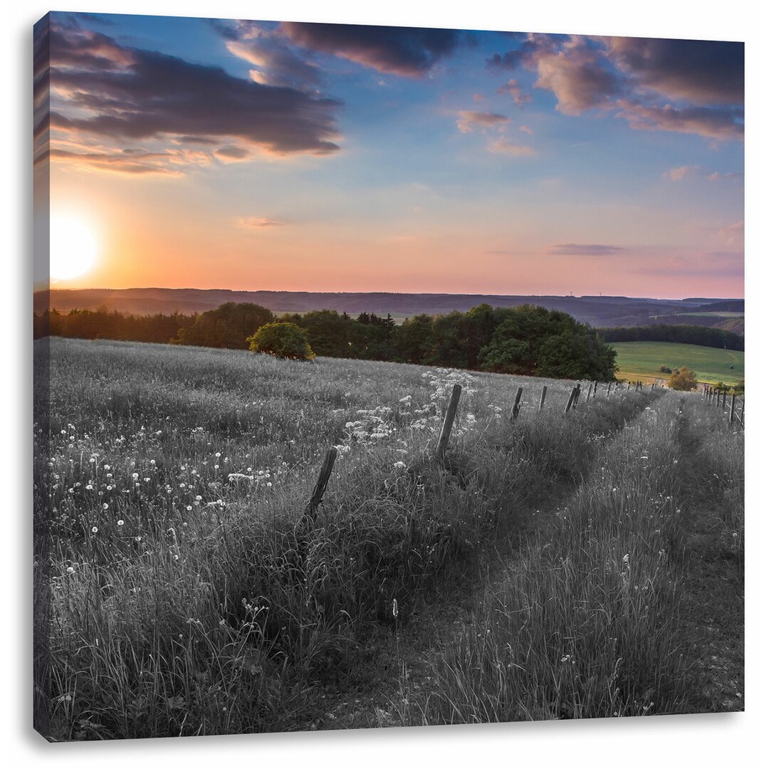 Leinwandbild Wunderschöne Bergwiese im Sonnenaufgang