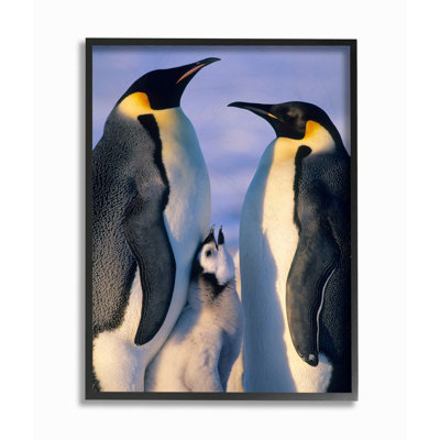 «Emperor Penguin Family adultes with Chick» par Kevin Schafer, reproduction de photo