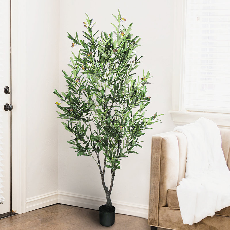 Faux Olive Tree Plant in Pot, 65" H x 33" W x 33" D