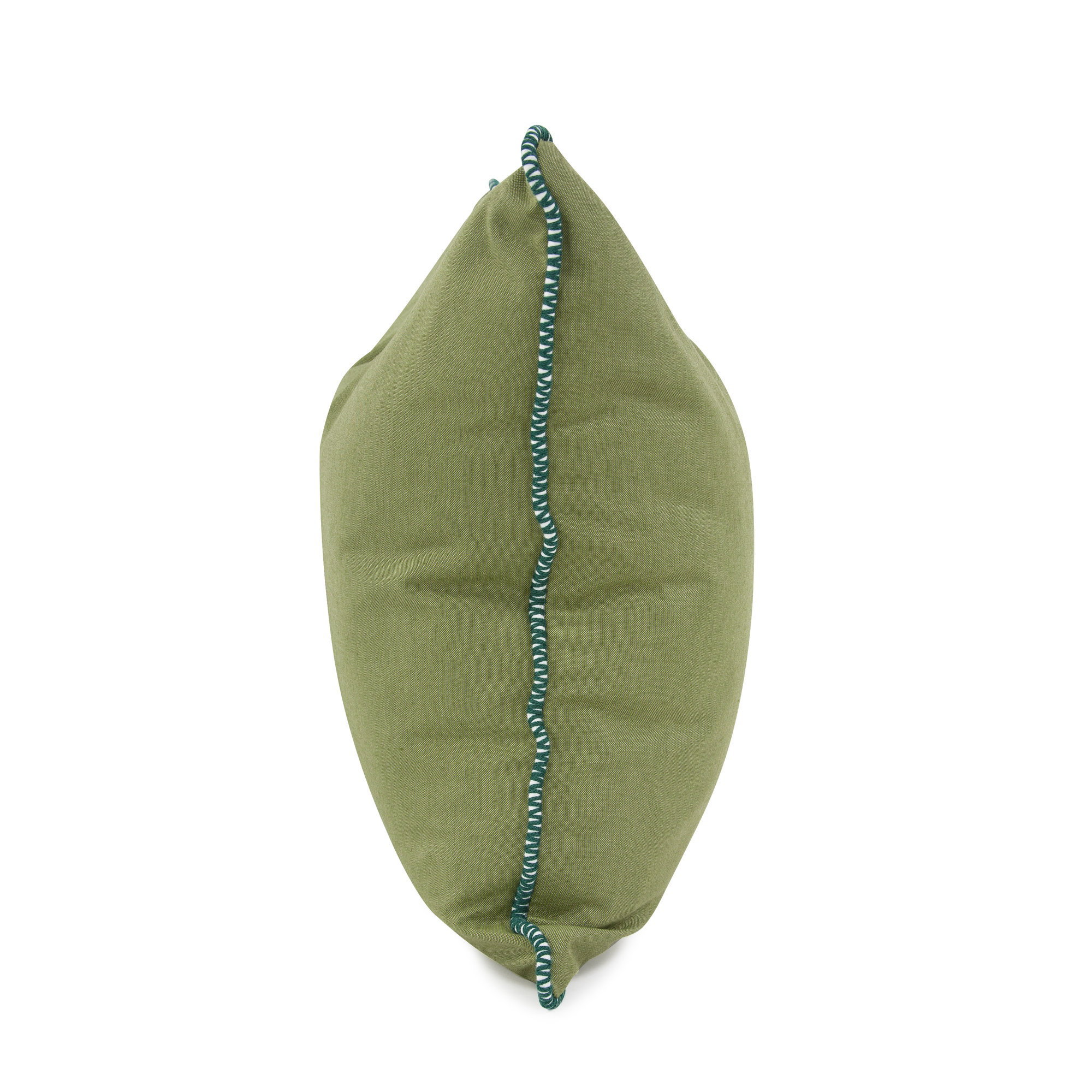 Delijah Sunbrella® Indoor/Outdoor Throw Pillow, Seascape Moss, 20" x 20"