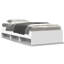 Ashwika Storage Bed-2113735940-2113735941