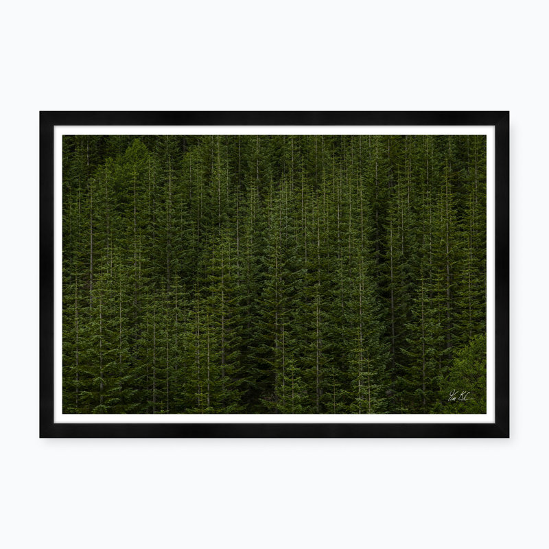 Among Static Pines Ii Print by Tim Klein