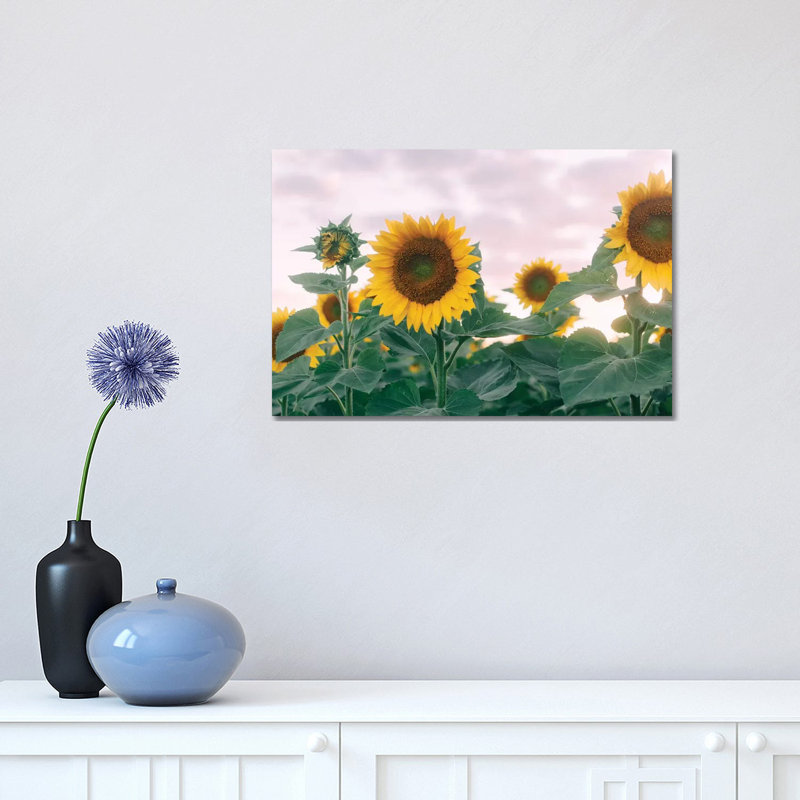 Sunflowers At Sunset I by Chelsea Victoria - Wrapped Canvas Print, 30.48 cm H x 45.72 cm W