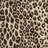 Rayna Lennie Brown Gold Ivory Modern Leopard Animal Print Indoor Area Rug, Flat Pile for Living Room & Bedroom - Lennie, 5x7-102344672