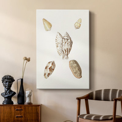 Pastel Knorr Shells VI - galerie Cavas sur mesure
