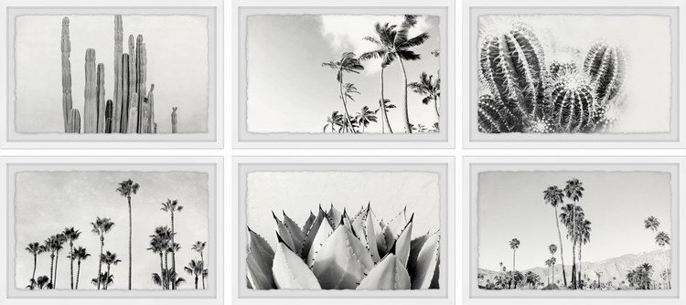 «Strinko Trees and Plants Hexaptych» par Morgan Hartley - ensemble de 6 reproductions de photos sur papier