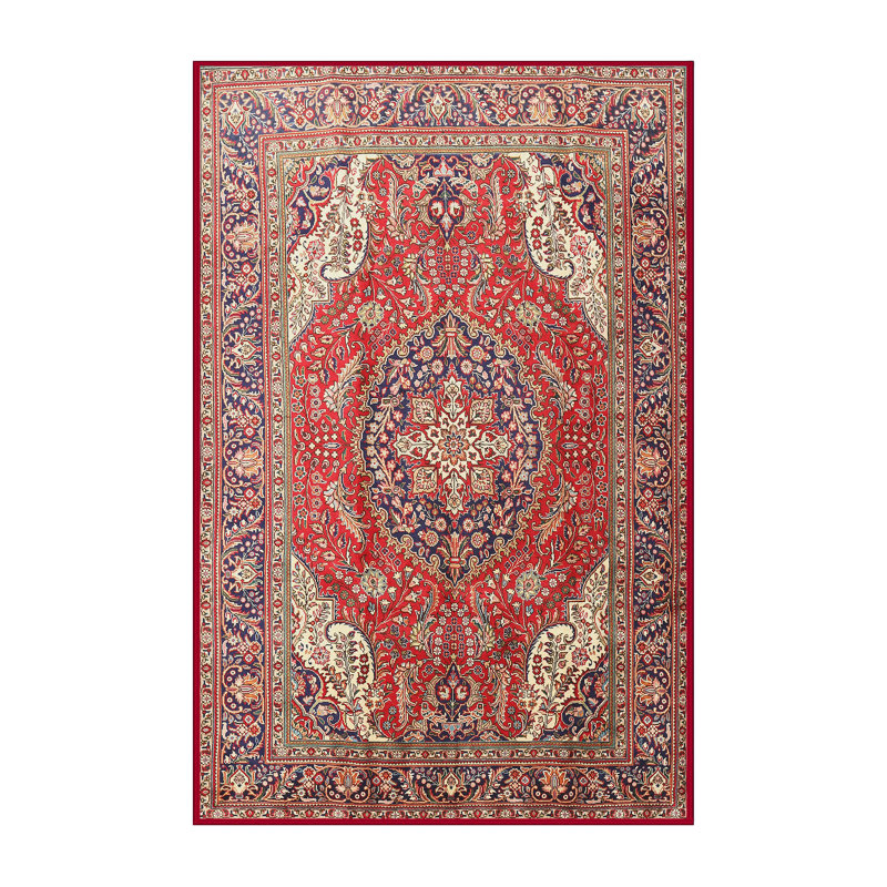 Oriental Indoor Rug, Rectangle 7' x 10'