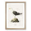Great Black-Backed Gull by Von Wright - Picture Frame Painting Print-55735443-55735452