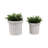 Stoneware Planter Set With Sculpted Rim And Vertical Ridged Texture, Decorative Fluted Detailing And Glossed Ceramic Body For Display And Accent Decor, Set Of 2