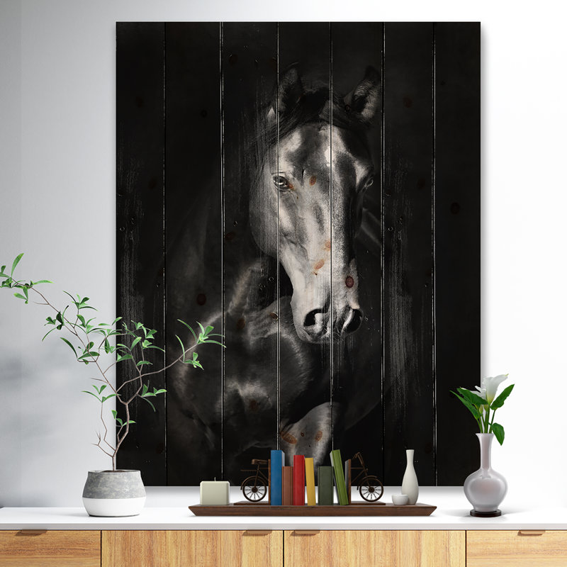 Portrait d'un cheval noir dans le noir Kladruby - photographie sur, H 40 po x l 30 po x P 1 po