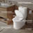 One-Piece Toilet with ADA Chair Height, High-Efficiency MAP 1000g Flush, and Dual Flush 0.8/1.28 GPF, Modern Toilet Bowl for 12" Rough-In