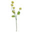 Artificial Arrangement-106401563