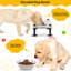 Console de repas surélevée pour animal 2 bols-85845193