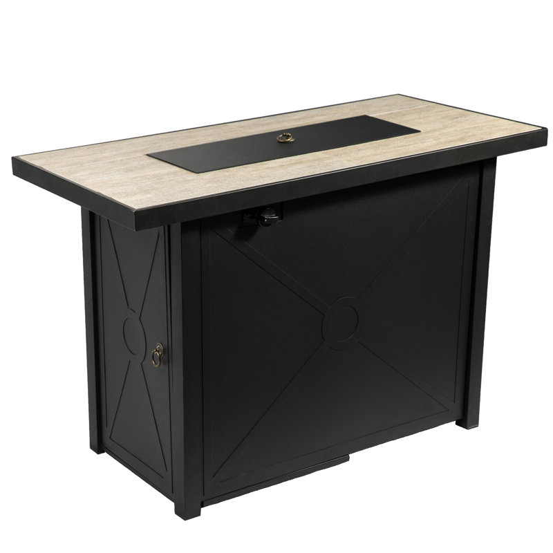 Parthenia Outdoor Propane Gas Steel Fire Pit Table