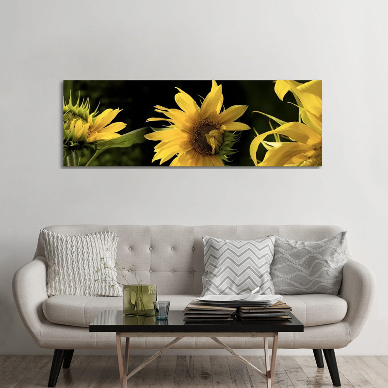 Sunflowers - Wrapped Canvas Panoramic Print, 182.88 cm H x 60.96 cm W