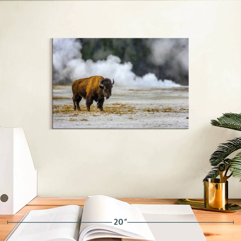 Bison du parc national de Yellowstone Brampt, H 8 po x l 12 po