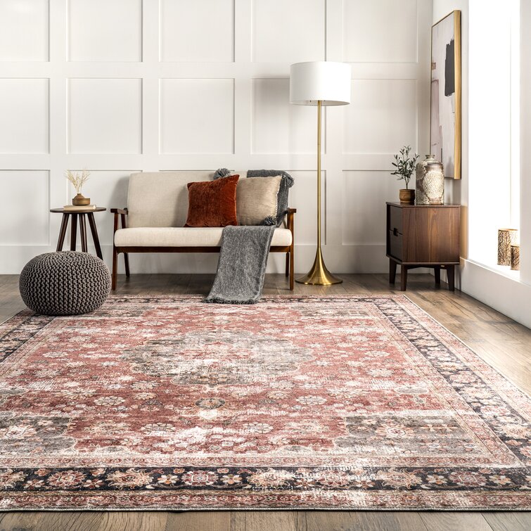 https://assets.wfcdn.com/im/13894855/resize-h755-w755%5Ecompr-r85/1861/186194904/Emelina+Traditional+Persian+Machine+Washable+Area+Rug.jpg