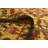 Mullin Beige Rug